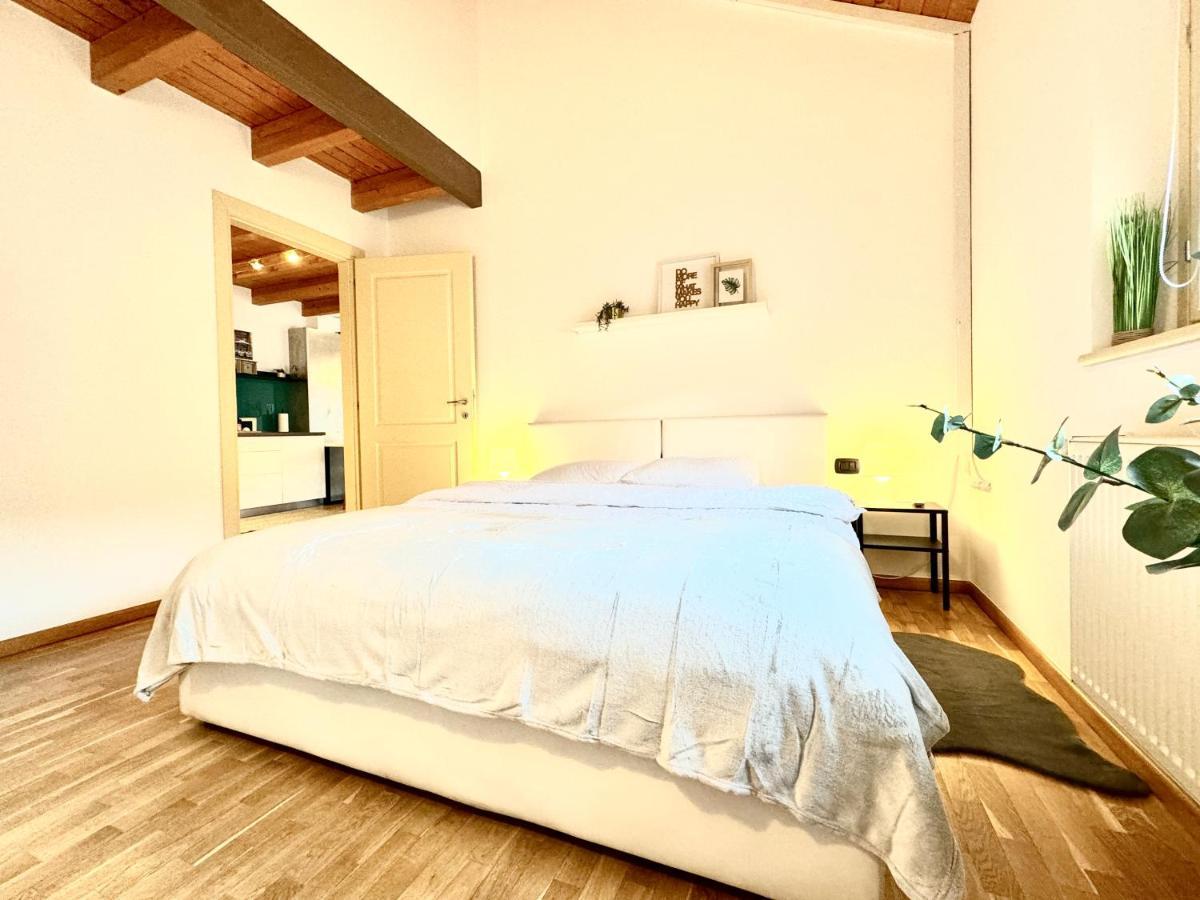 티미쇼아라 The Loft 아파트 외부 사진